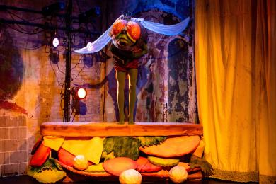 Fly puppet on a sandwich 