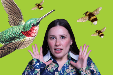 Commonweal Theatre Company presents Incident at Our Lady of Perpetual Help by Katie Forgette.
