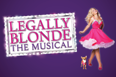 Title of show in a marquee sign next to a woman in hot pink dress with blonde hair twirling around and a chihuahua dog in a matching pink vest at her feet. 