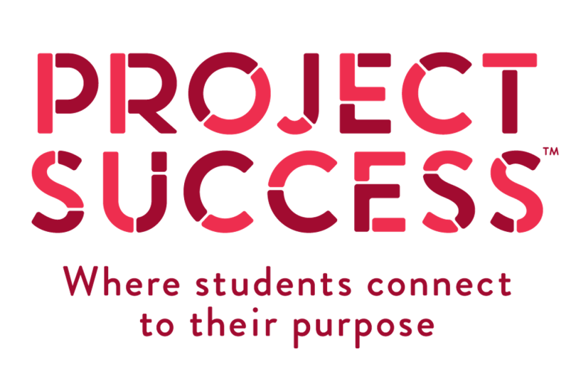 Project Success Logo